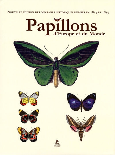 Papillons - Image principale