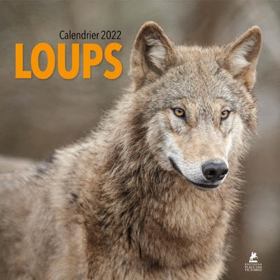 Loups - calendrier 2022 - Image principale