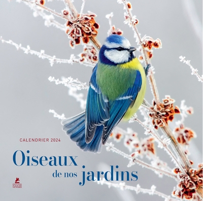 Calendrier oiseaux de nos jardins 2024 - Image principale