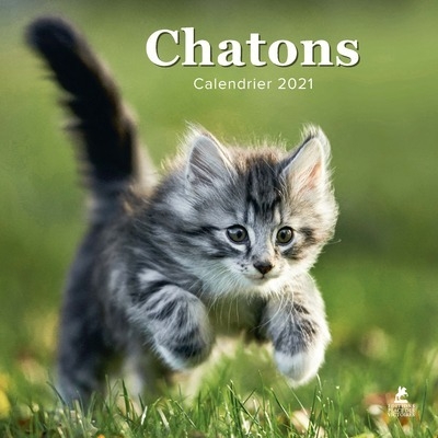 Chatons - calendrier 2021 - Image principale