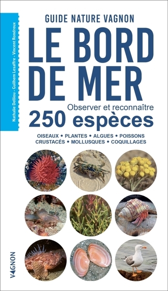 Guide nature vagnon - le bord de mer - observer et reconnaître 250 espèces - Image principale
