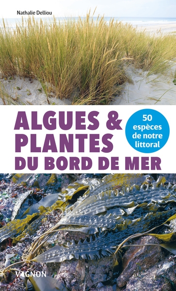 Algues et plantes du bord de mer - 50 espèces de notre littoral - Image principale