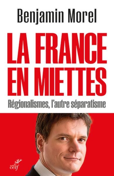La france en miettes - regionalismes, l'autre separatisme - Image principale