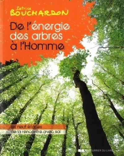 De l'énergie des arbres à l'homme - Image principale