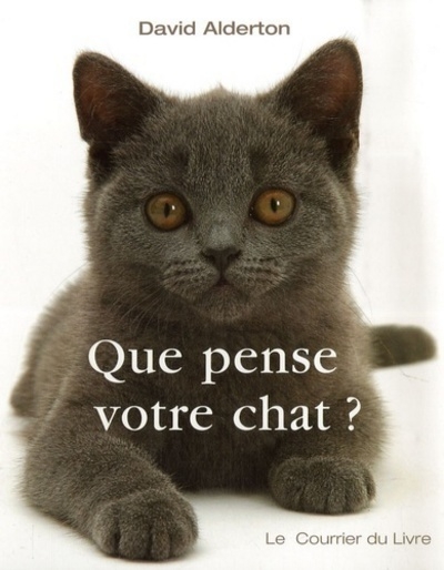 Que pense votre chat ? - Image principale