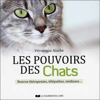 Les pouvoirs des chats - Image principale