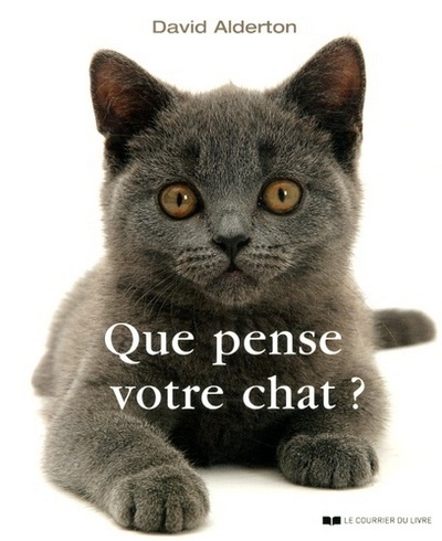 Que pense votre chat ? - Image principale