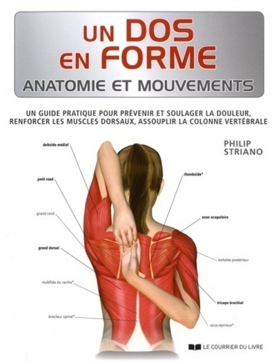Un dos en forme - anatomie et mouvements - Image principale