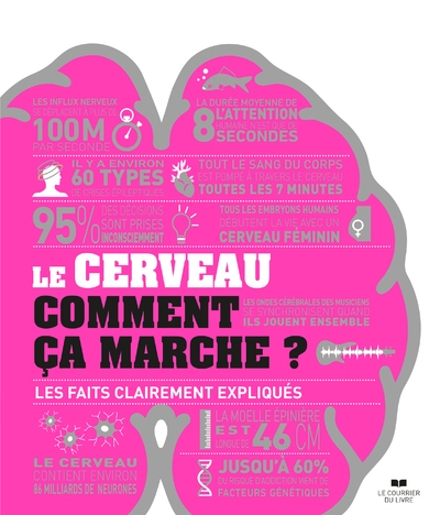 Le cerveau comment ça marche ? - les faits clairements expliqués - Image principale