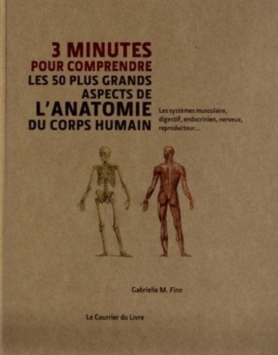 3 minutes pour comprendre les 50 plus grands aspects de l'anatomie du corps humain - Image principale