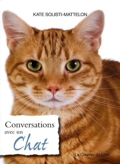 Conversation avec le chat - Image principale