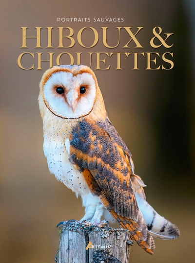 Hiboux & chouettes - Image principale