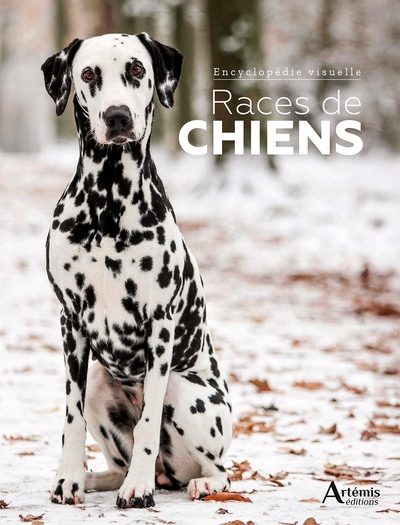 Races de chiens - Image principale