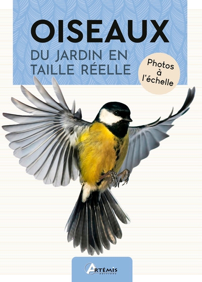 Oiseaux du jardin en taille réelle - Image principale