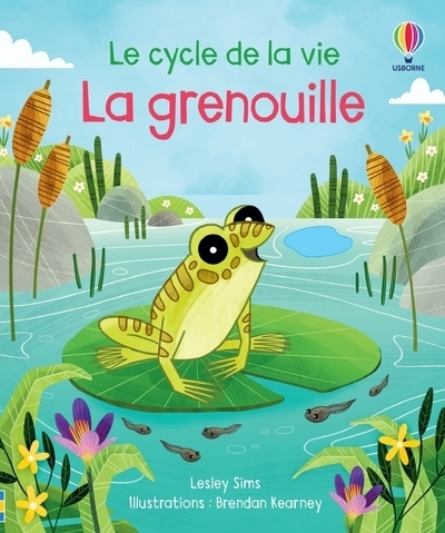 La grenouille - le cycle de la vie - Image principale