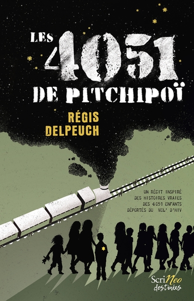 Les 4051 de pitchipoï - Image principale