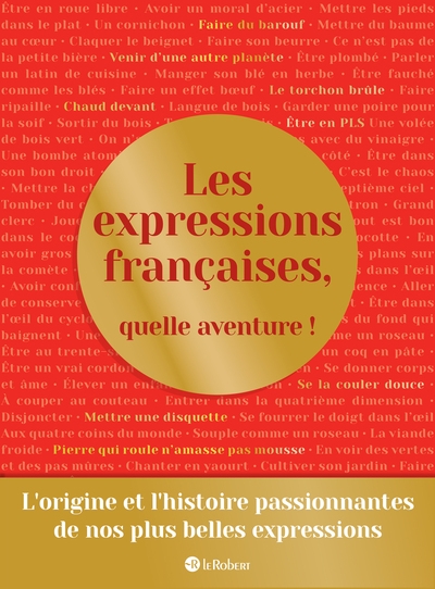 Les expressions françaises, quelle aventure ! - Image principale