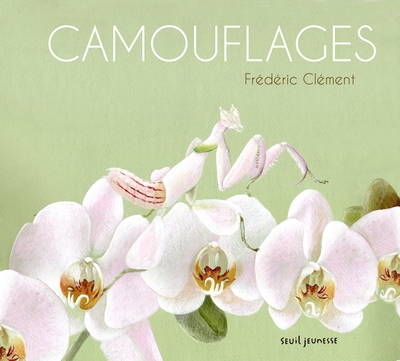 Camouflages - Image principale
