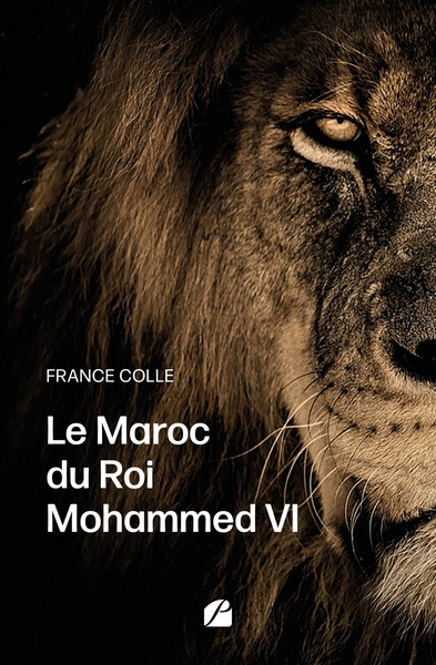 Le maroc du roi mohammed vi - Image principale