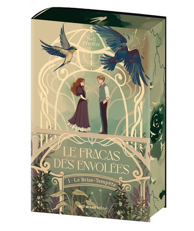 Le fracas des envolées - tome 1 le brise-tempête - Image principale
