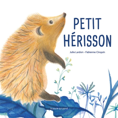 Les tout-cartons - petit hérisson - Image principale