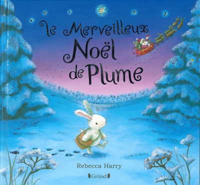 Le merveilleux noël de plume (ne) - Image principale