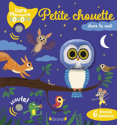 Petite chouette dans la nuit - Image principale
