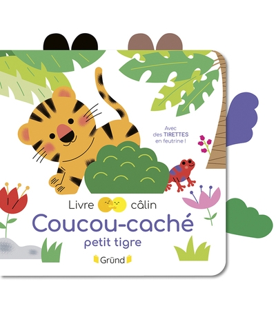 Coucou-caché petit tigre - Image principale