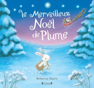 Le merveilleux noël de plume - Image principale