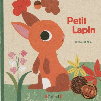 Livre nature petit lapin - Image principale