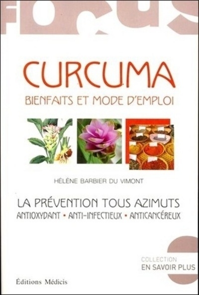 Le curcuma - Image principale