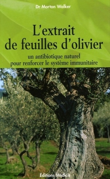 L'extrait de feuilles d'olivier - un antibiotique naturel pour renforcer le système immunitaire - Image principale