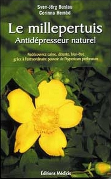 Le millepertuis - antidépresseur naturel - Image principale