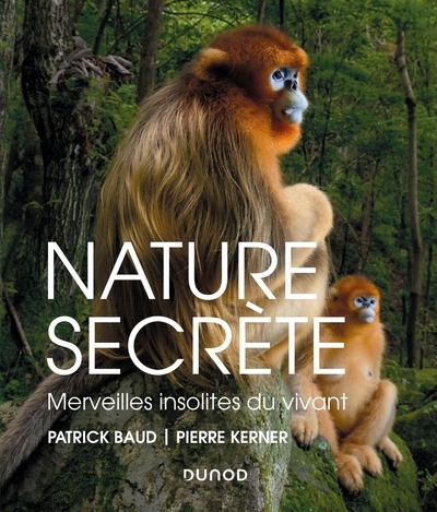 Nature secrète - merveilles insolites du vivant - Image principale