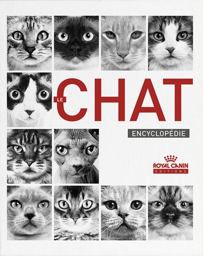 Le chat encyclopédie - Image principale