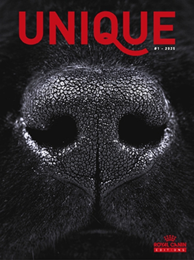 Unique - Image principale