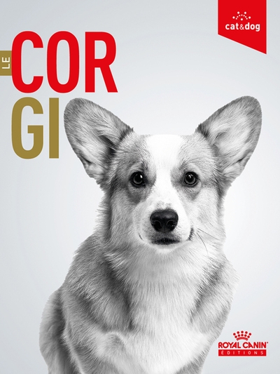 Le corgi - Image principale