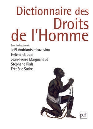 Dictionnaire des droits de l'homme - Image principale
