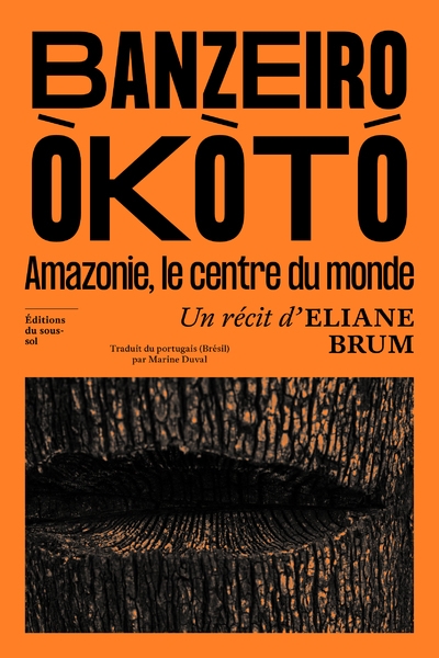 Banzeiro òkòtó - l'amazonie, le centre du monde - Image principale