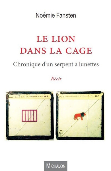 Le lion dans la cage - Image principale