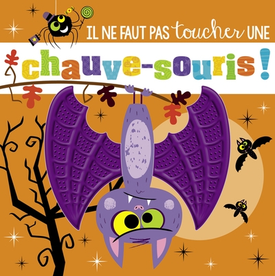 Il ne faut pas toucher... - une chauve-souris - Image principale