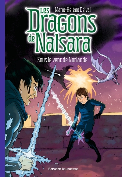 Les dragons de nalsara, tome 20 - Image principale
