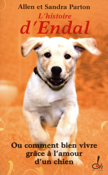 L'histoire d'endal ou comment bien vivre grâce à l'amour d'un chien - Image principale
