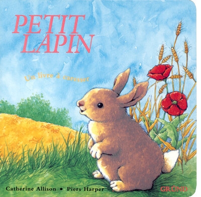 Petit lapin - Image principale