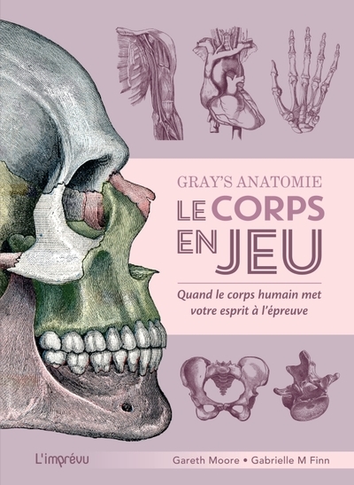 Gray's anatomie - le corps en jeu - Image principale