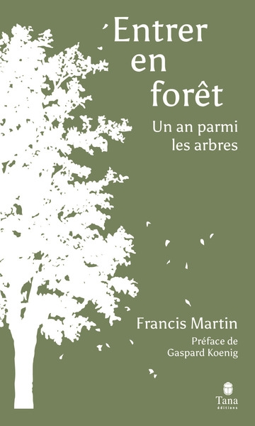 Entrer en forêt - un an parmi les arbres - Image principale