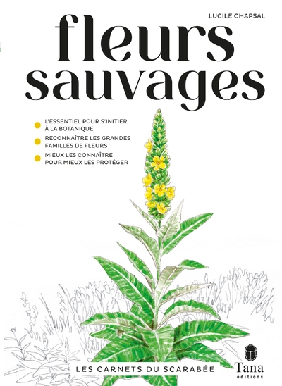Les carnets du scarabée - fleurs sauvages - Image principale