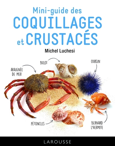Le mini-guide des coquillages et crustacés - Image principale