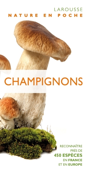 Champignons - Image principale