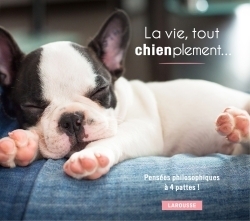 La vie, tout chienplement... - Image principale